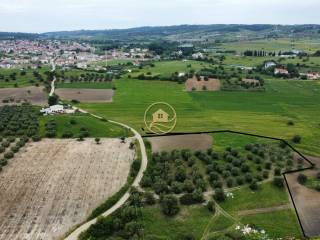 aerophotographia agrotemachioy
