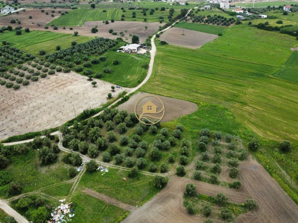 αεροφωτογραφία αγροτεμαχίου