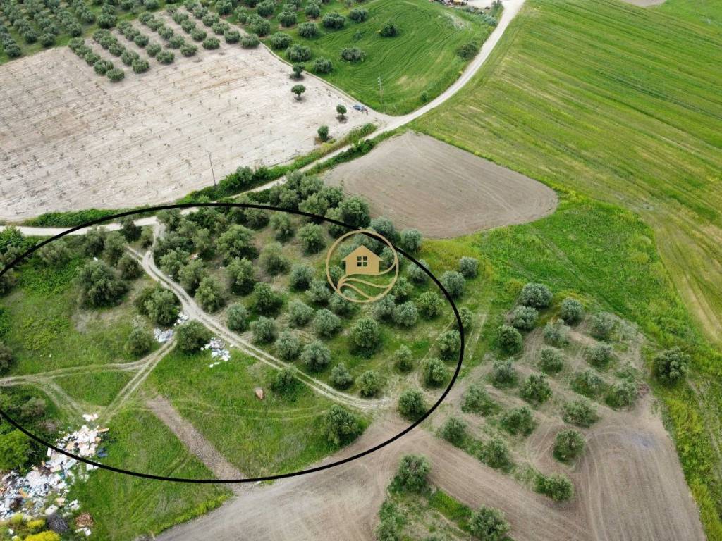 aerophotographia agrotemachioy