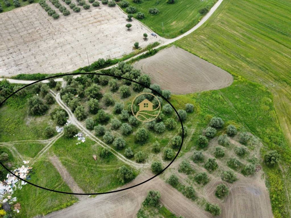 aerophotographia agrotemachioy