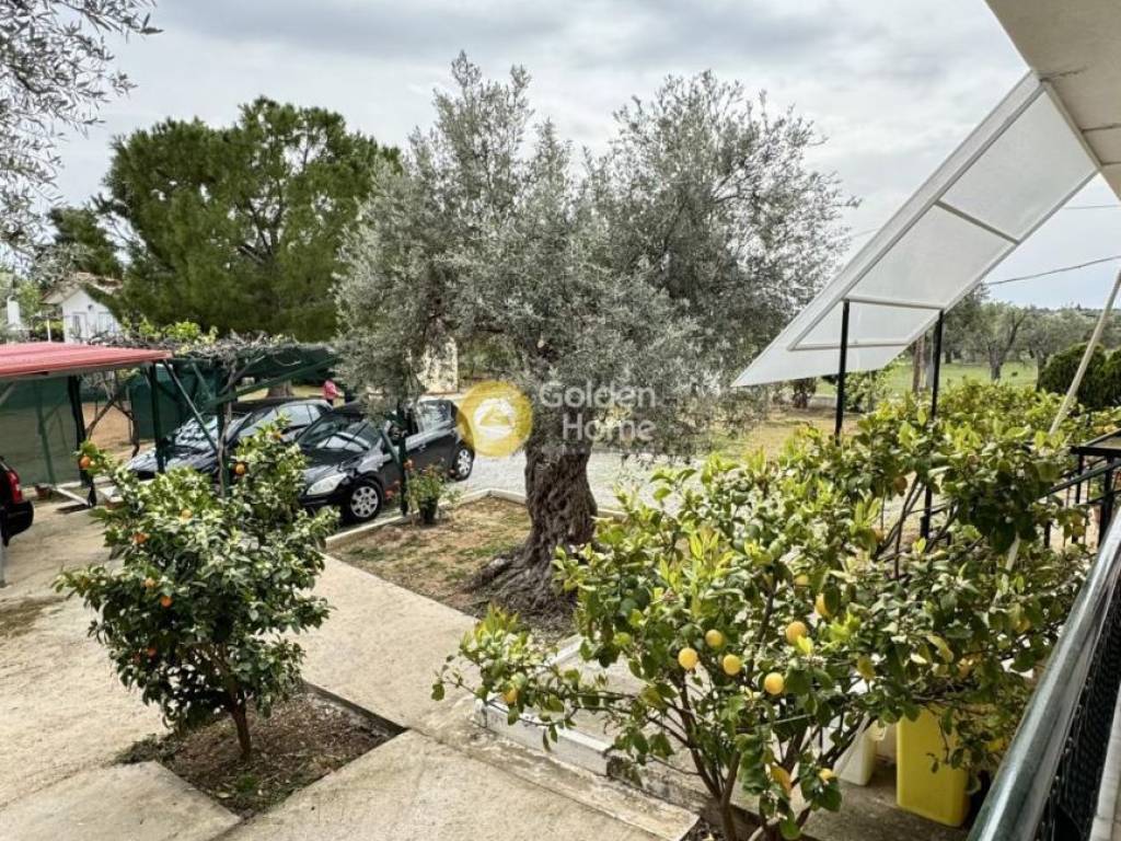 Εξωτερικός Χώρος