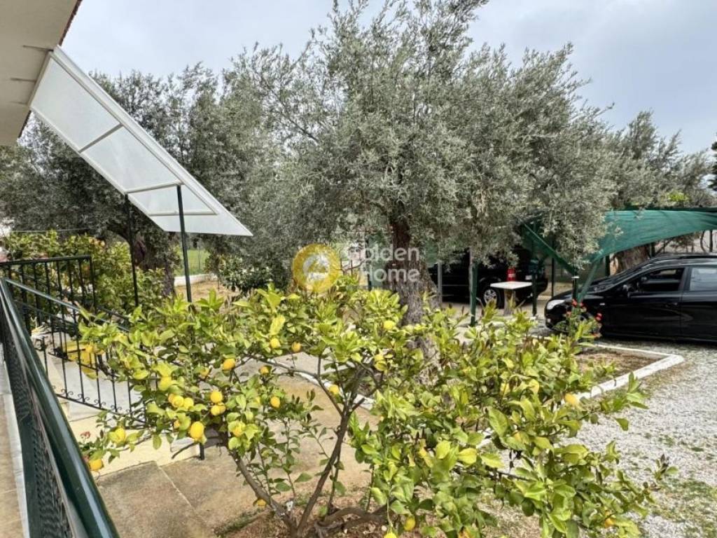 Εξωτερικός Χώρος