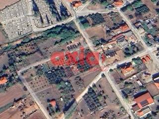 Φίλιπποι, Ζυγός