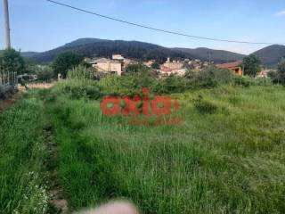 Φίλιπποι, Ζυγός