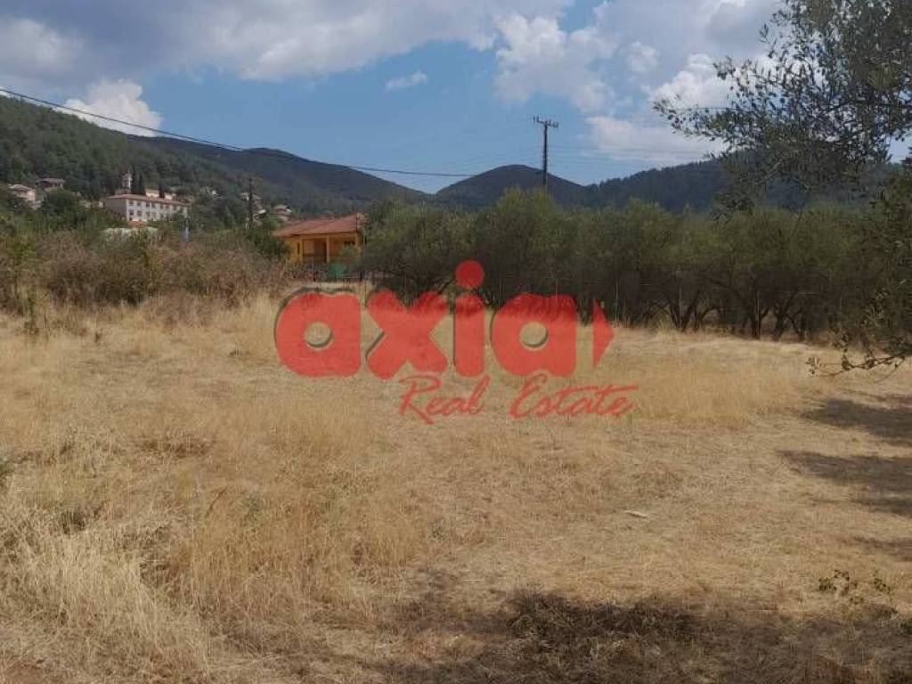 Φίλιπποι, Ζυγός