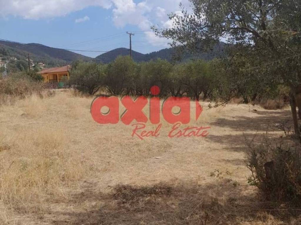 Φίλιπποι, Ζυγός