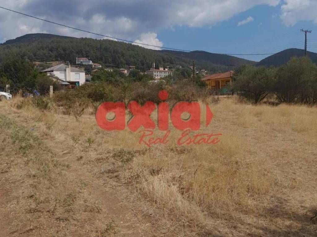 Φίλιπποι, Ζυγός