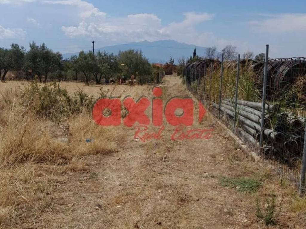 Φίλιπποι, Ζυγός