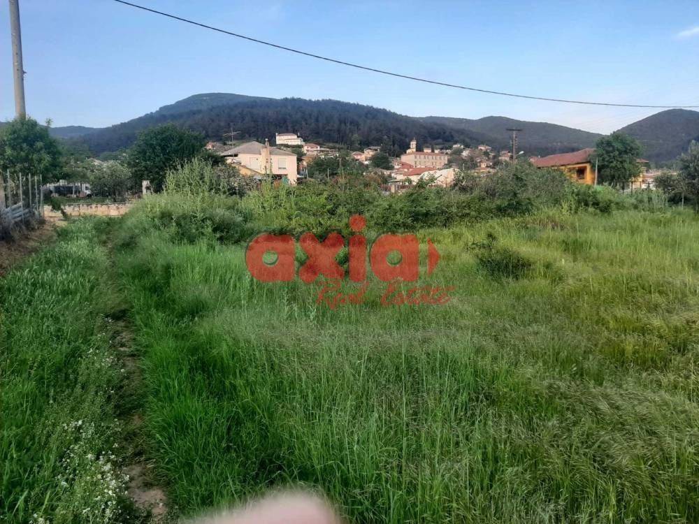 Φίλιπποι, Ζυγός