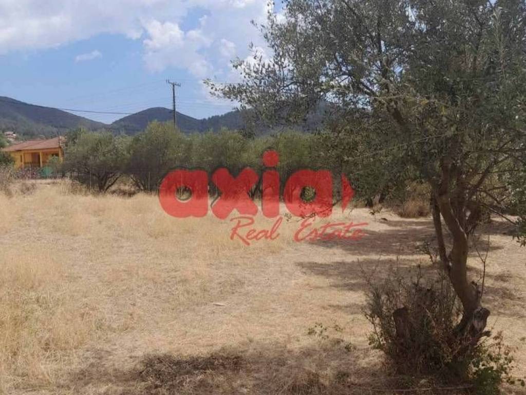 Φίλιπποι, Ζυγός