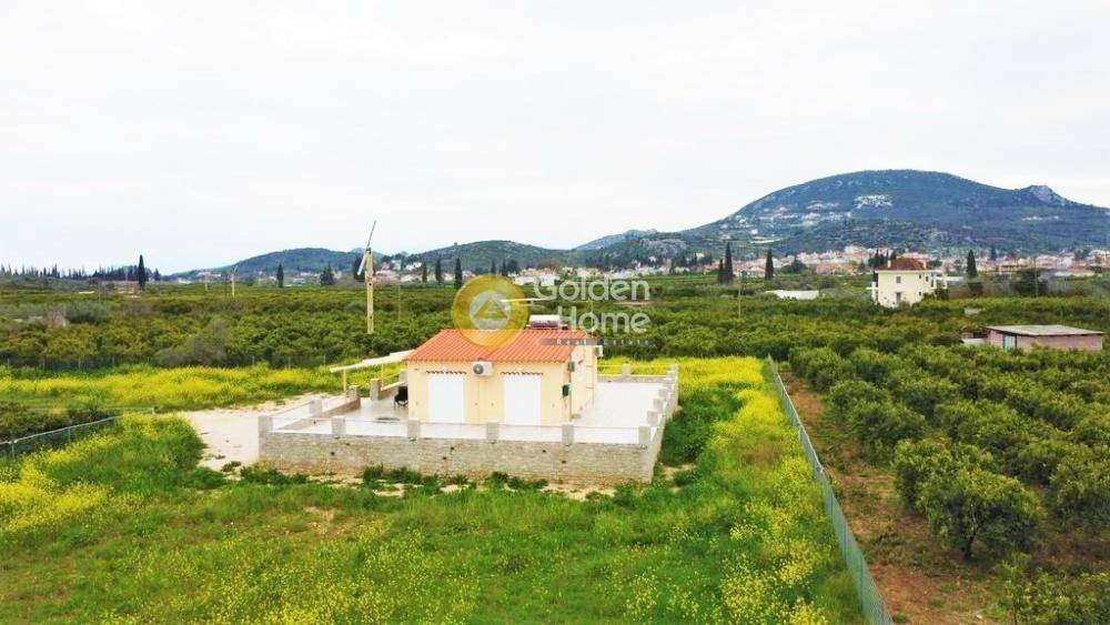 Ανελκυστήρας