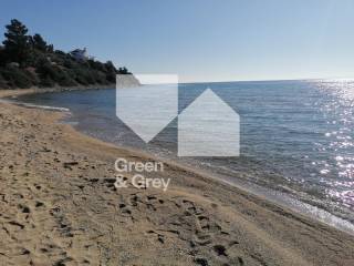 Paralia Trane Ammoyda