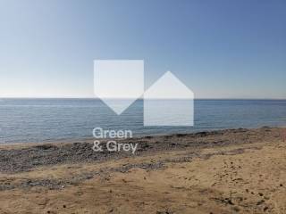 Paralia Trane Ammoyda