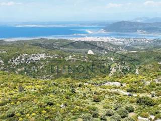 Η όμορφη θέα από το αγροτεμάχιο
