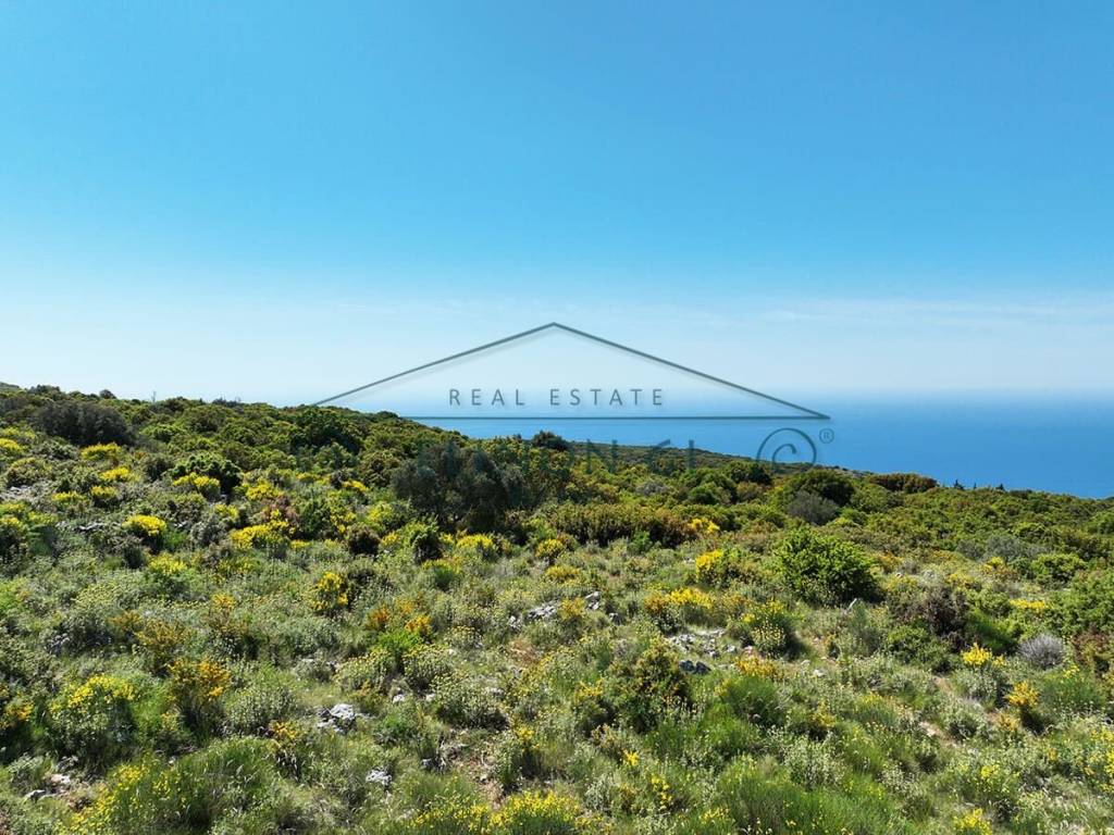 Η όμορφη θέα από το αγροτεμάχιο