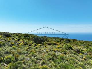 Η όμορφη θέα από το αγροτεμάχιο