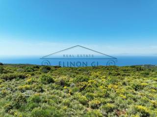 Η όμορφη θέα από το αγροτεμάχιο