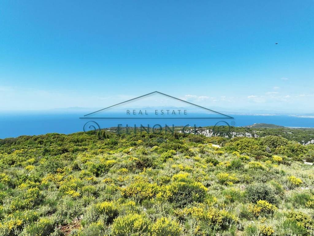 Η όμορφη θέα από το αγροτεμάχιο