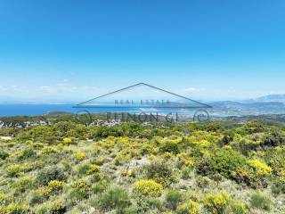 Η όμορφη θέα από το αγροτεμάχιο