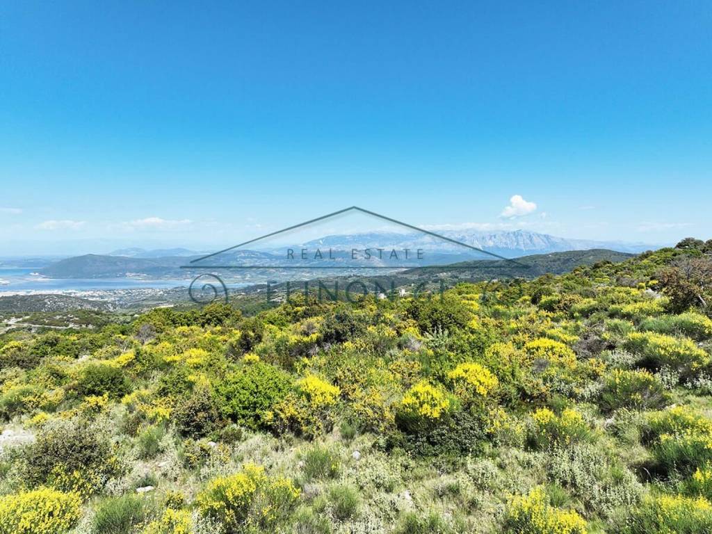 Η όμορφη θέα από το αγροτεμάχιο