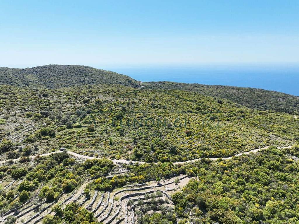 Το αγροτεμάχιο από ψηλά