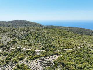 Το αγροτεμάχιο από ψηλά