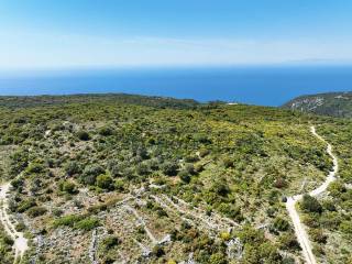 Η όμορφη θέα από το αγροτεμάχιο