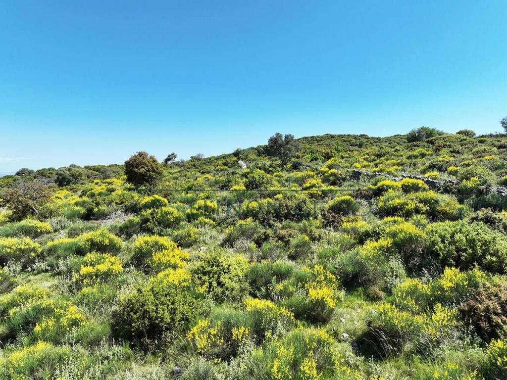 Το αγροτεμάχιο