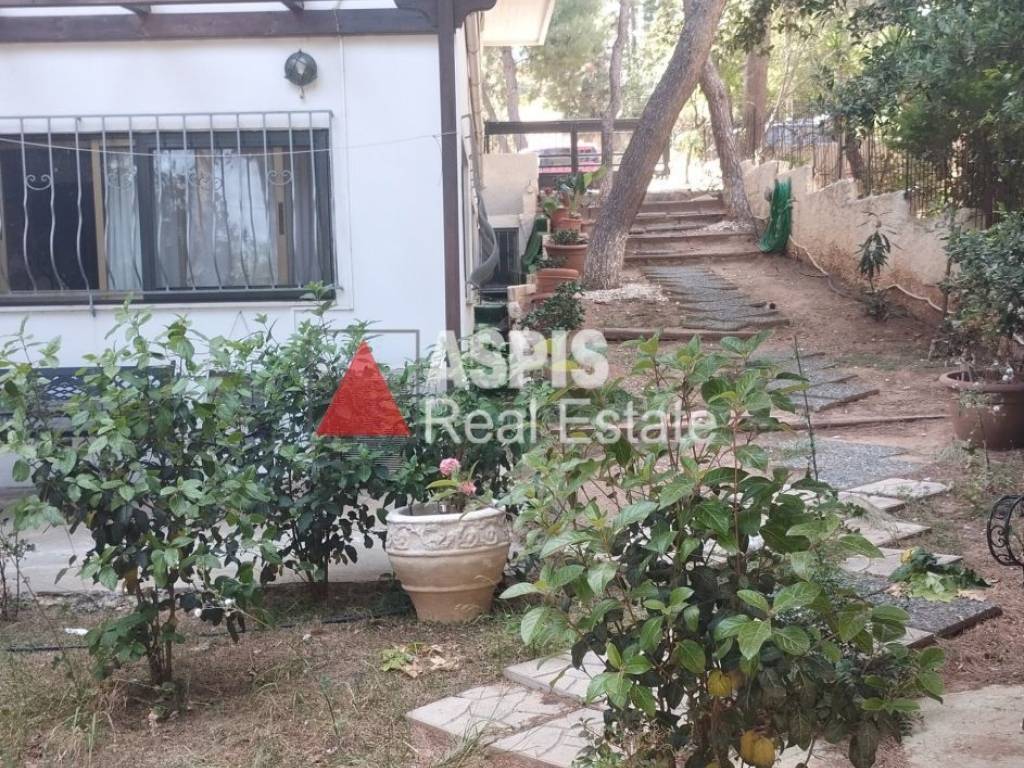 Εξωτερικοι χώροι