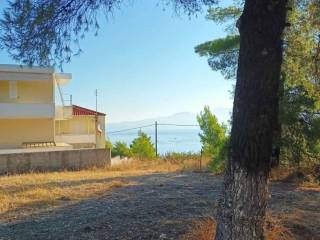 THeologos OSMAES oikopedo