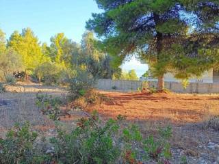 THeologos OSMAES oikopedo