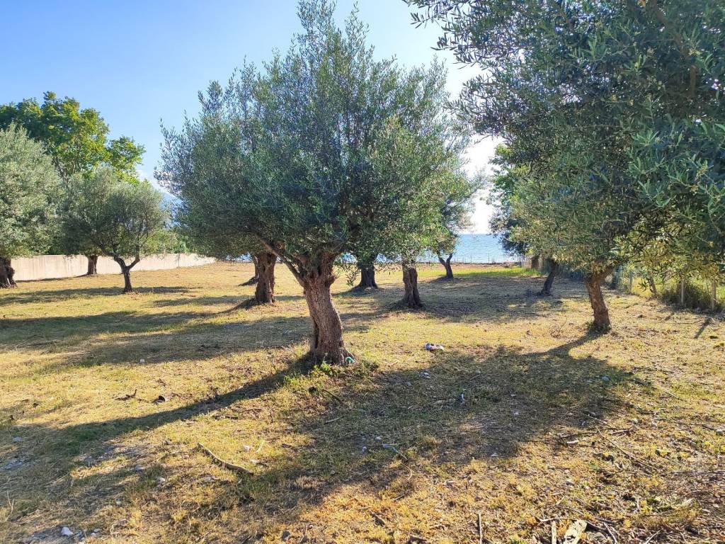 SE OMORPHE KAI ESYCHE PERIOCHE