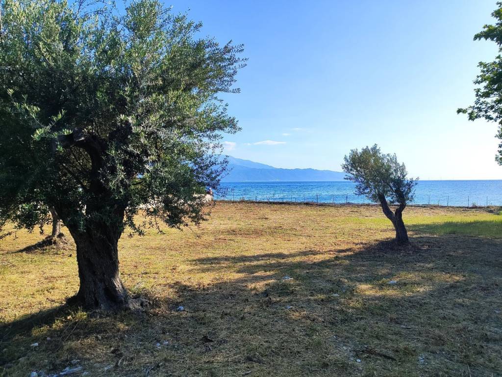 ME PROSBASE APO DYO PLEYRES