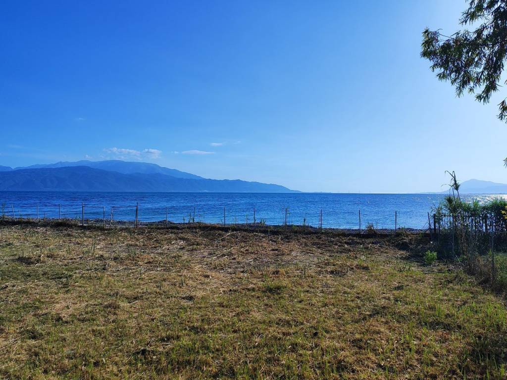 ME MEGALE PROSOPSE 40 M.