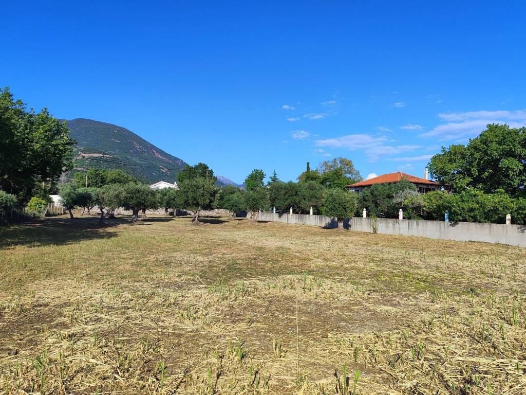 ARTIO KAI OIKODOMESIMO