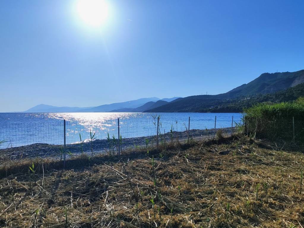 STO SKALOMA PHOKIDOS