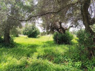 OIKODOMESIMO,CHTIZEI 205,5 T.M.