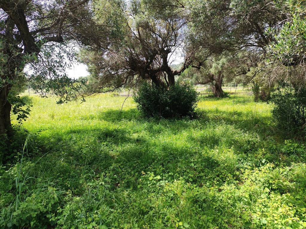 POLY KONTA STEN POLE TES NAYPAKTOY