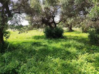 POLY KONTA STEN POLE TES NAYPAKTOY