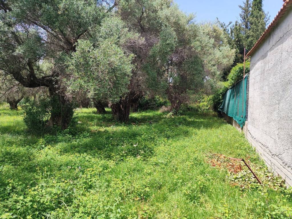 E PERIOCHE EINAI  ANERCHOMENE OIKISTIKA