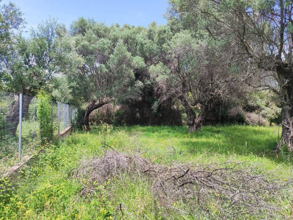 ME EPIA DOMESE,EOS DYO OROPHOYS