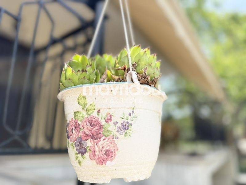 Ύπαρξη ανθρώπου