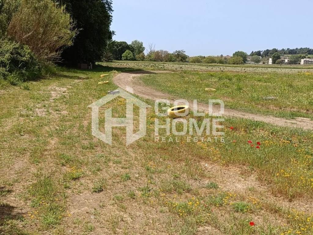 ΑΠΟΨΗ ΟΙΚΟΠΕΔΟΥ