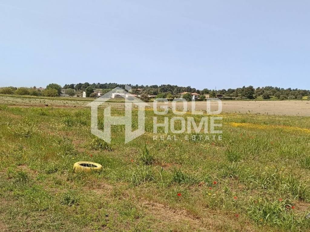 ΑΠΟΨΗ ΟΙΚΟΠΕΔΟΥ