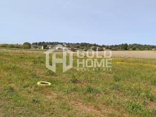 ΑΠΟΨΗ ΟΙΚΟΠΕΔΟΥ