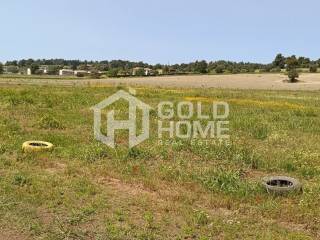 ΑΠΟΨΗ ΟΙΚΟΠΕΔΟΥ