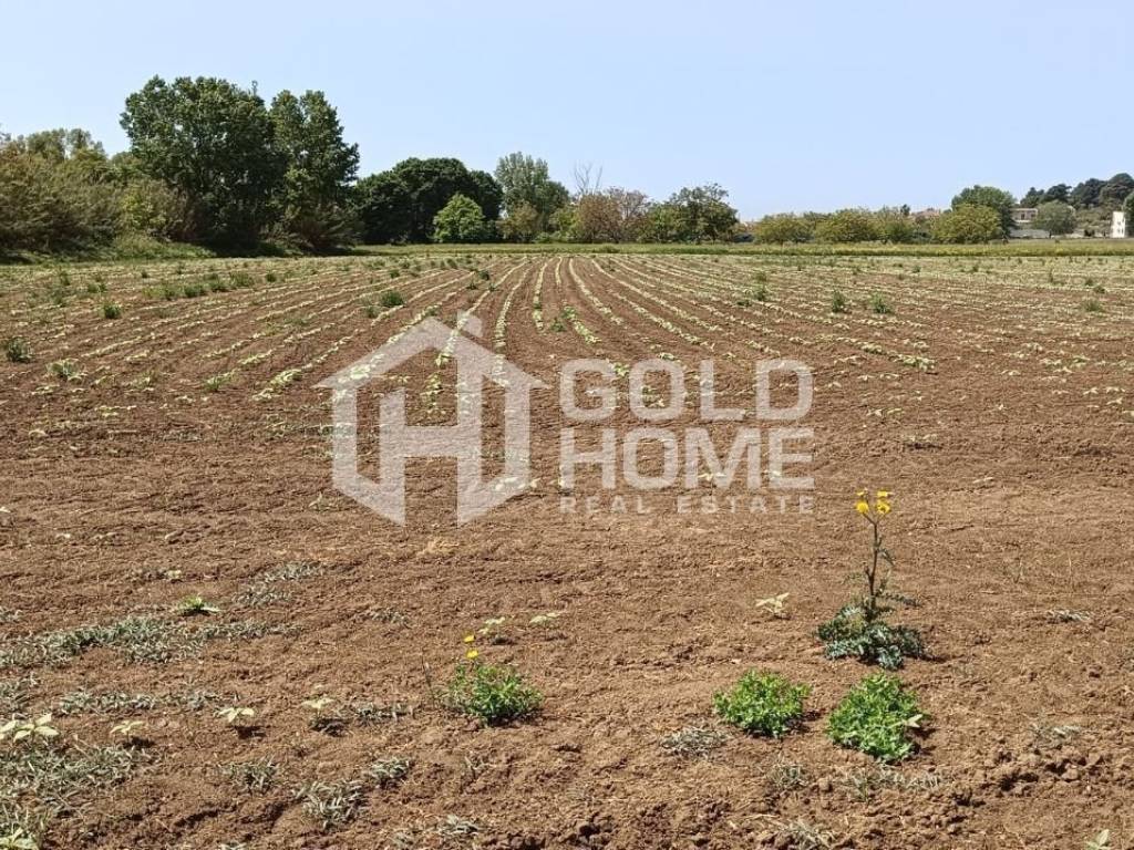 ΑΠΟΨΗ ΟΙΚΟΠΕΔΟΥ