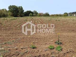 ΑΠΟΨΗ ΟΙΚΟΠΕΔΟΥ