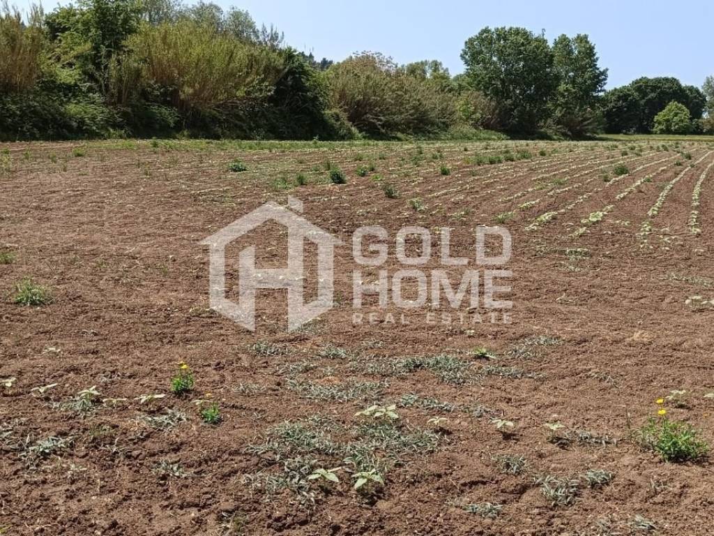 ΑΠΟΨΗ ΟΙΚΟΠΕΔΟΥ