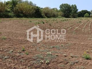 ΑΠΟΨΗ ΟΙΚΟΠΕΔΟΥ